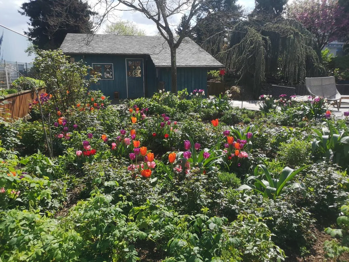 Gartengestaltung Projekt 16 – Gärten im Glück Heidelberg